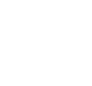 NeroYaki logo